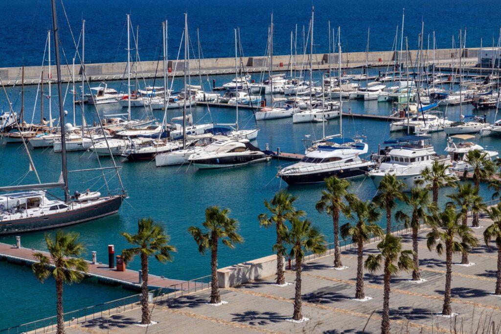 Marina full of moored boats